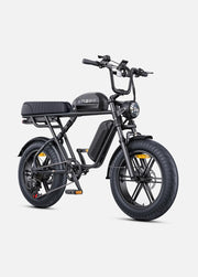 Engwe Bici Elettrica Fat M1 250/750W Doppia Batteria