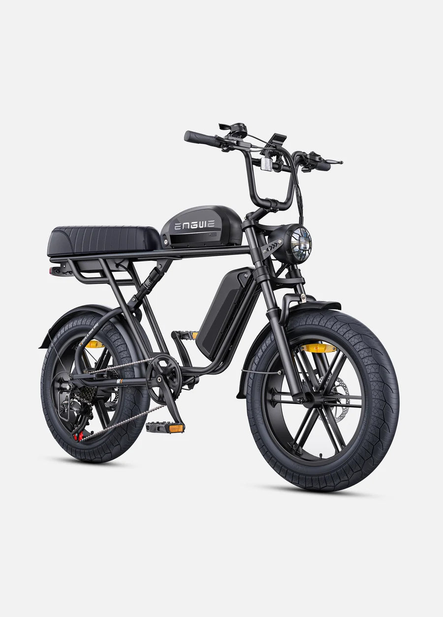 Engwe Bici Elettrica Fat M1 250/750W Doppia Batteria