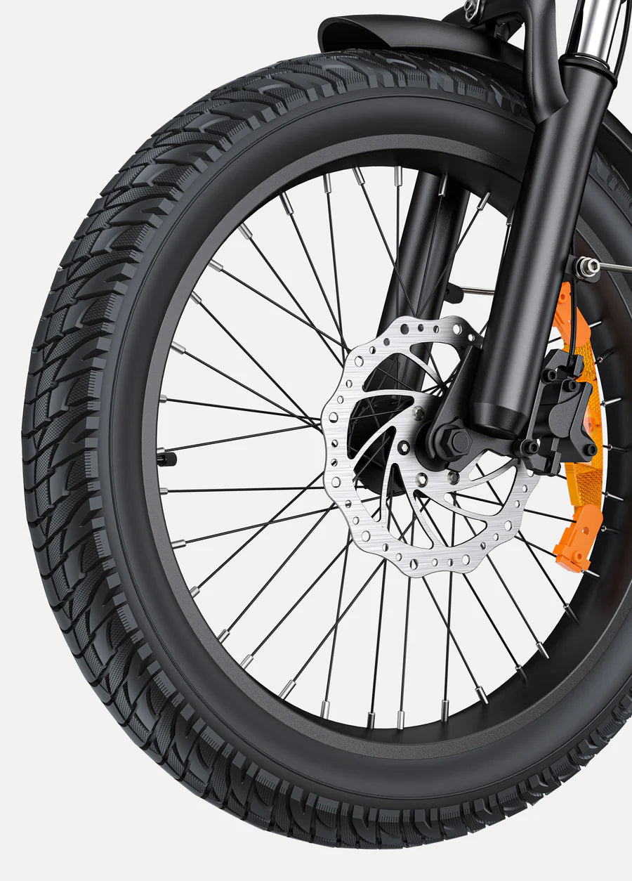 Engwe Bici Elettrica E-Bike L20 3.0 Boost 250/650Wh