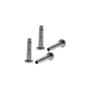 Alligator Confezione Spine + Ogive per Formula 