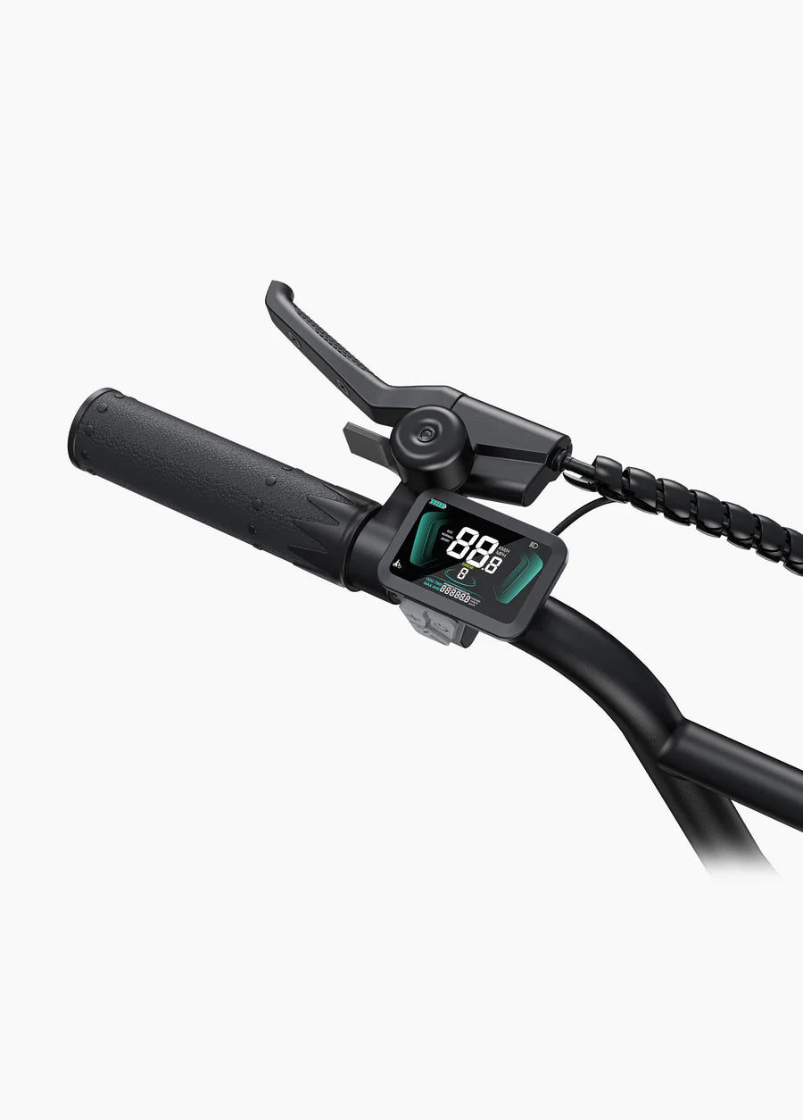 Engwe Bici Elettrica Fat Bike L20 Boost 250w/750W