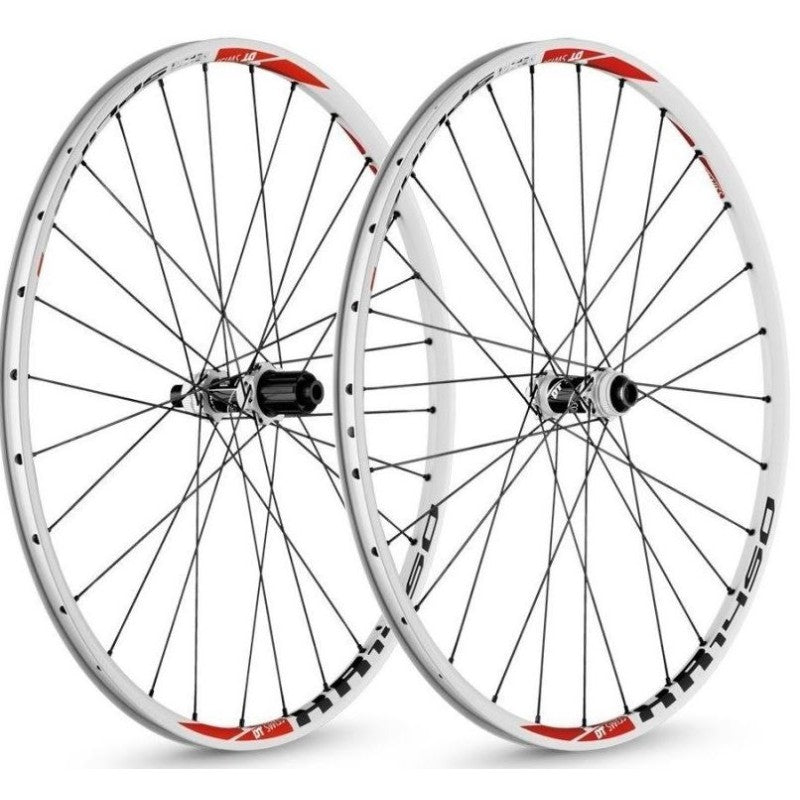 Dt Swiss Ruote Mtb Spline XR 1450 29" White 