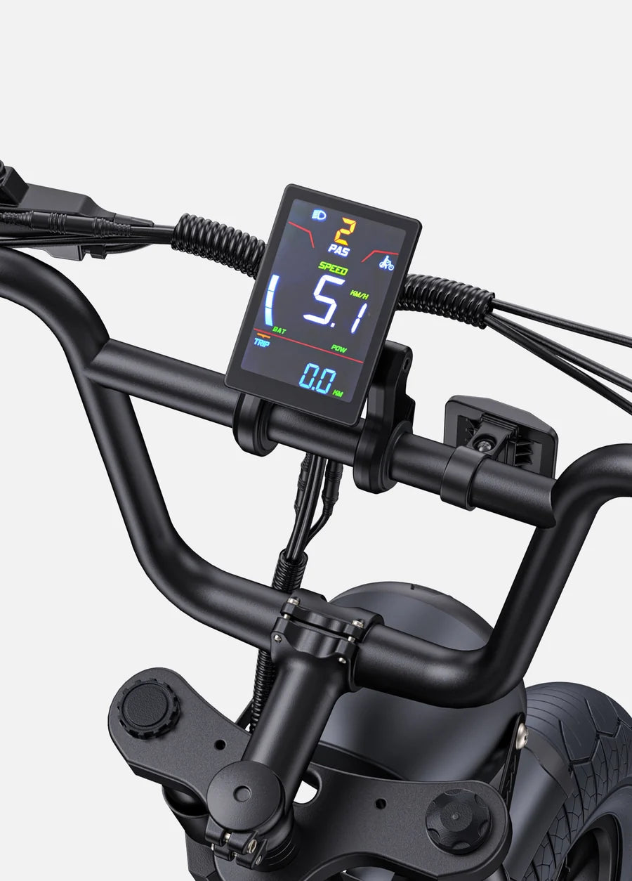 Engwe Bici Elettrica Fat M1 250/750W Doppia Batteria