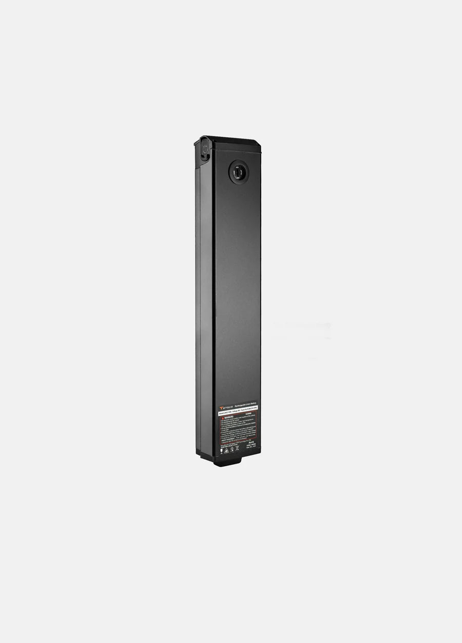 Engwe Batteria P20