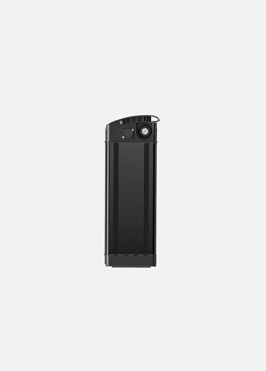 Engwe Batteria T14