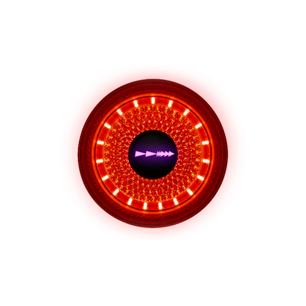 Dynamic Luce Posteriore Manubrio Lyte - 100 Lumen Rosso