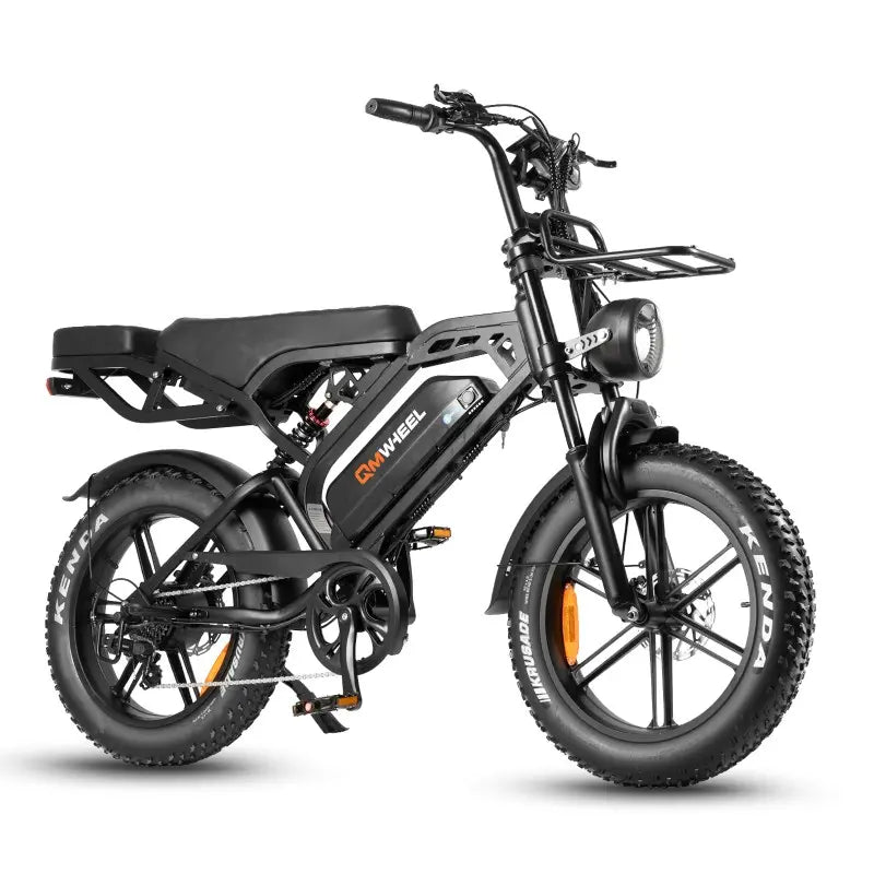 QMWheel Bici Elettrica FatBike V20 Pro