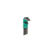 Park Tool Set Chiavi Compatibili Torx