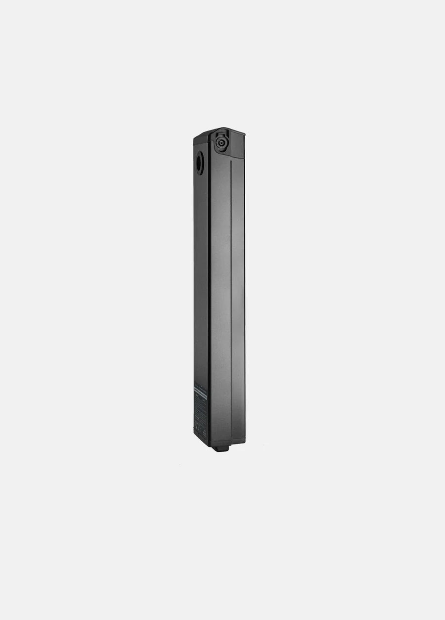 Engwe Batteria P20