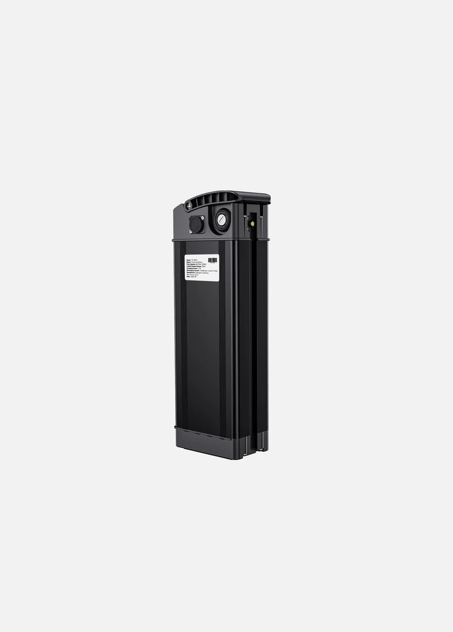 Engwe Batteria T14