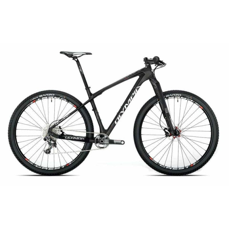 Olympia Bici MTB Iron 29" Sram XX1// ZTR Crest Fork Fox