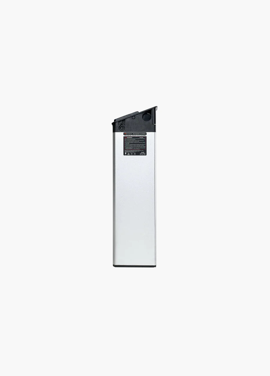 Engwe Batteria Engine Pro 2.0