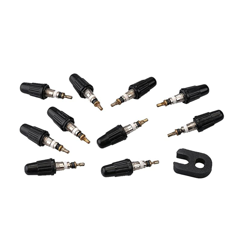 Vittoria Presta Kit Di Valvole 10Pz