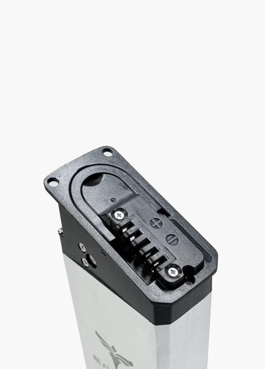 Engwe Batteria Engine Pro 2.0