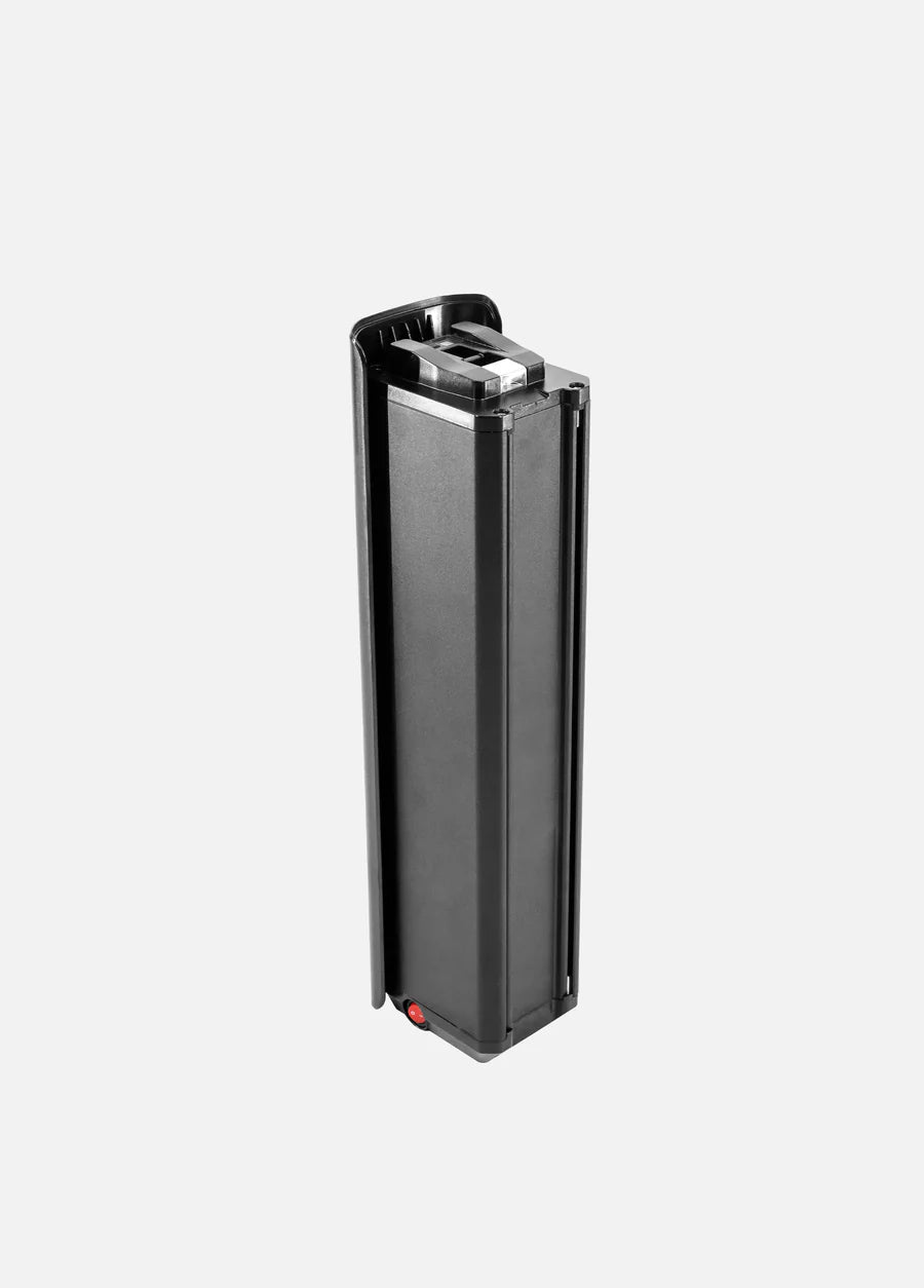 Engwe L20 3.0 Pro Batteria