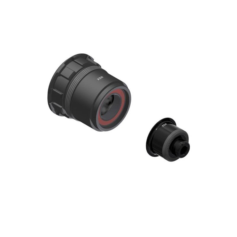 DT Swiss Road Corpetto Sram XDR 12v + Adattatore 5/130-135mm