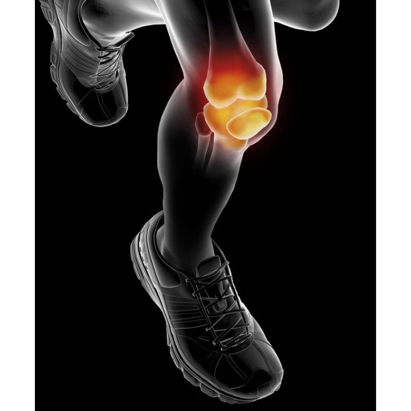 Epitact Sport Ginocchiera Flex 01 Nero