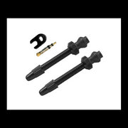 Barbieri Coppia Valvole Tubeless Smontabili 60mm