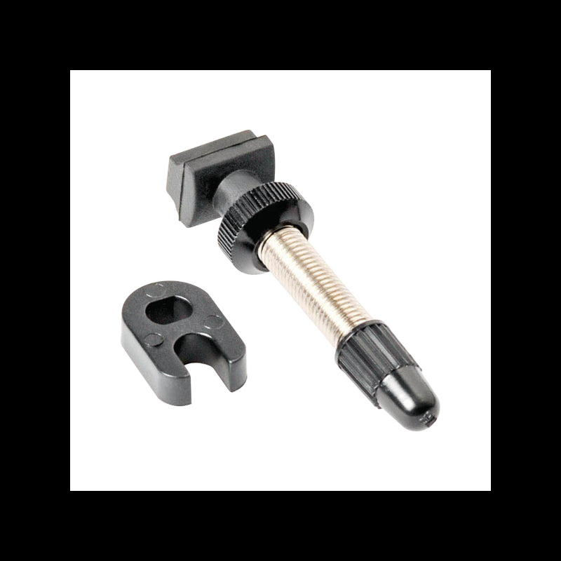 Dt Swiss Valvola Tubeless MTB V2 Silver 1pz