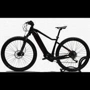 Garelli E-MTB Imago TK3 29'' Black/Red