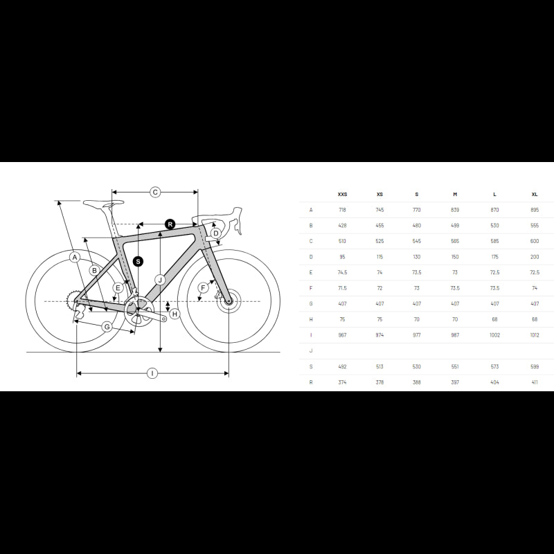 Ridley Bici Falcn Rs Disc - Ultegra R8170 12v - DT Swiss Arc 1400 Dicut 50 Carbon