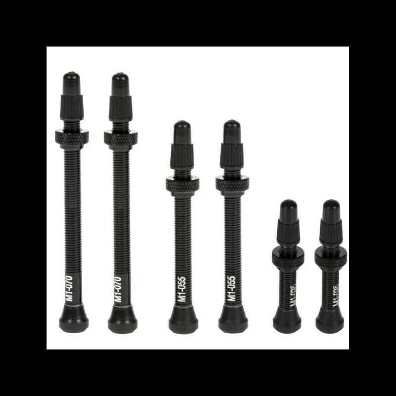 Fulcrum Kit Valvole 2-Way Fit 90mm