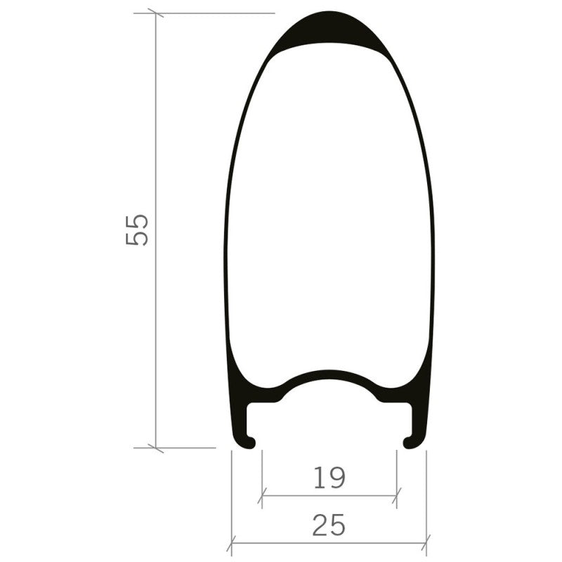 Vision Ruote SC 55 Carbon Disc Tlr