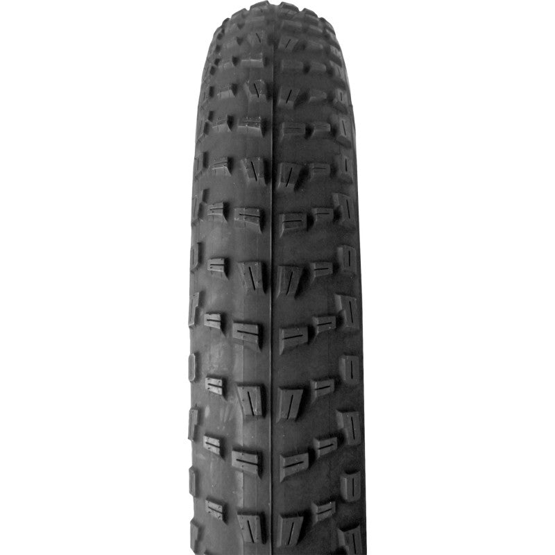 Eleven copertone E-Bike Fat Boy II 20 x 4.00 60 TPI nero