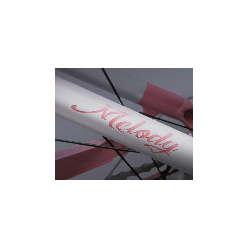 Wd99 Bici E-City Donna Melody 28”