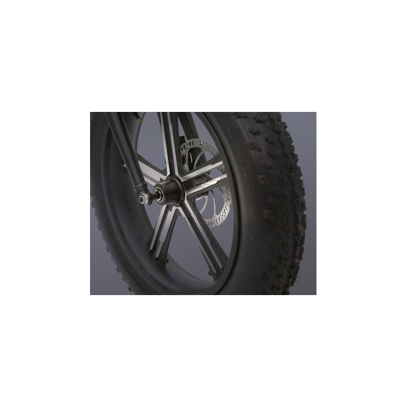 Wd99 Bici Fat Bike Rockers