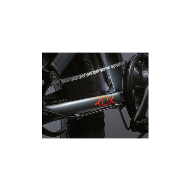 Wd99 Bici Fat Bike Rox