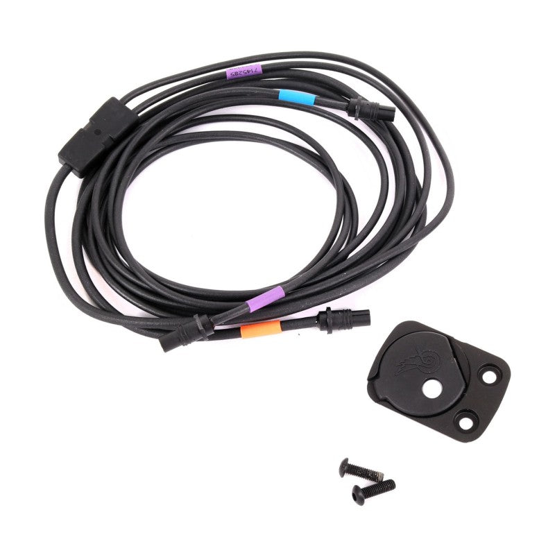 Campagnolo Cablaggio per montaggio interfaccia interna telaio - BMC
