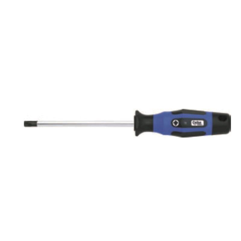Cyclus Tools Cacciavite TX 25x100