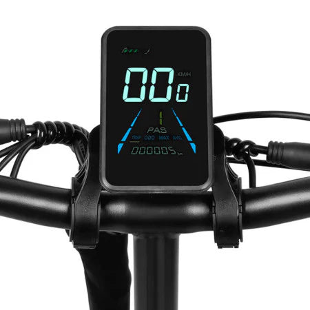 Victrip Bici Elettrica Fat Bike T5 250W/750W