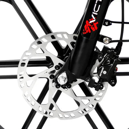 Victrip Bici Elettrica Fat Bike T5 250W/750W