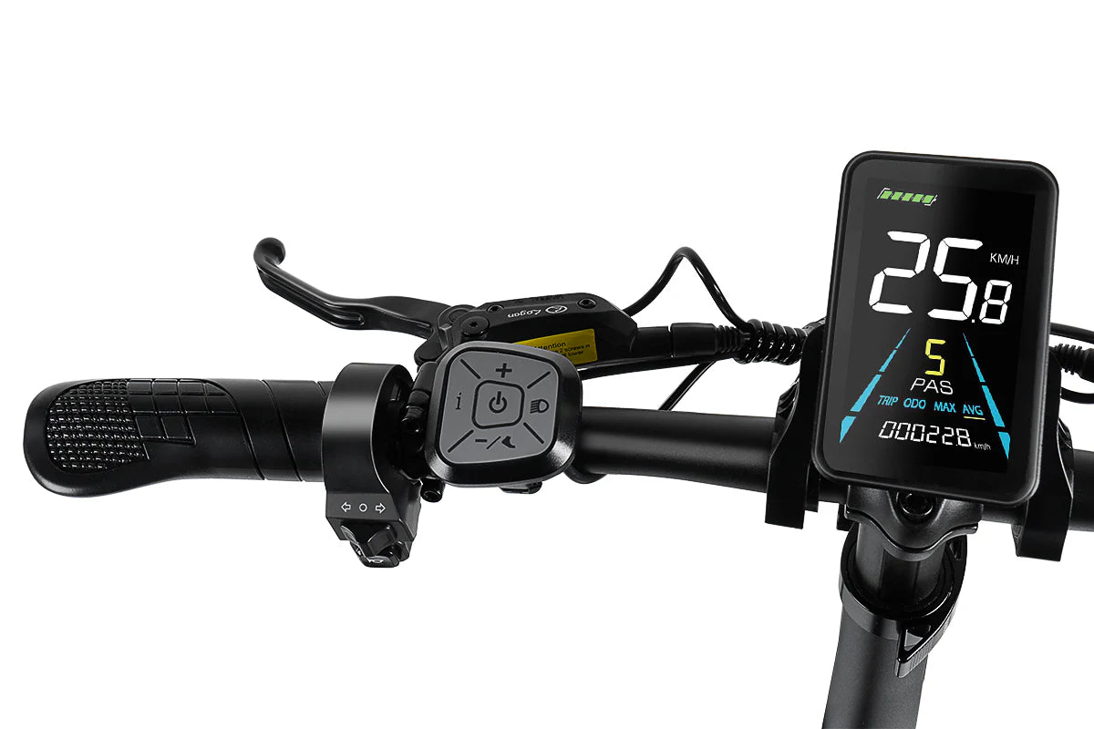 Vitilan Bici Elettrica Fat Bike V7 Full Sospension 250/750W