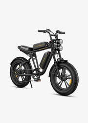 Engwe Fat Bike EP-2 Boost Foldable 624Wh