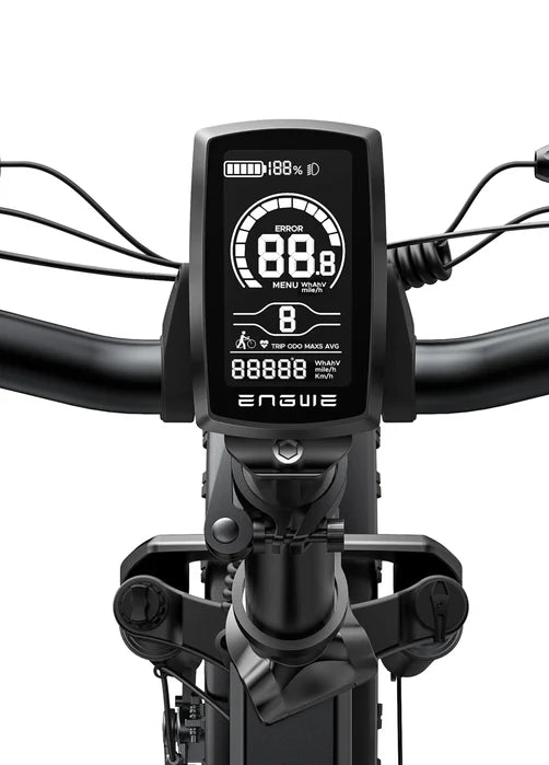 Engwe Bici Elettrica Fat Bike EP2-PRO 250/750W