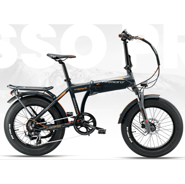 Armony Fat Bike Asso Pro 20″