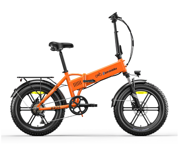 Eletronbike Bici Elettrica Fat Bike OD20 250W/750W