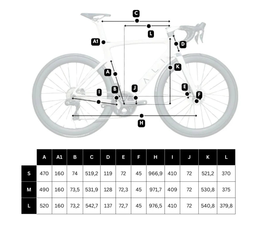 Rali Bici RDA - Shimano 105 12V – Ruote  Shimano R171