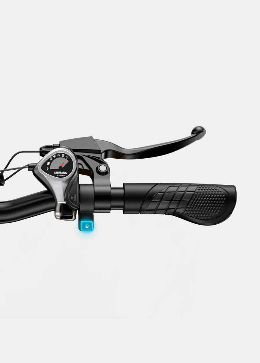 Engwe Bici Elettrica Fat Bike EP-2 Boost 250/750Wh