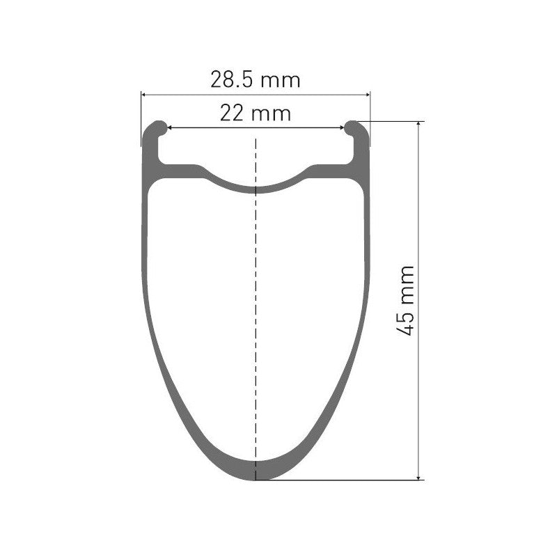 DT Swiss Ruote  ERC 1400 DICUT 45 Carbonio Disc