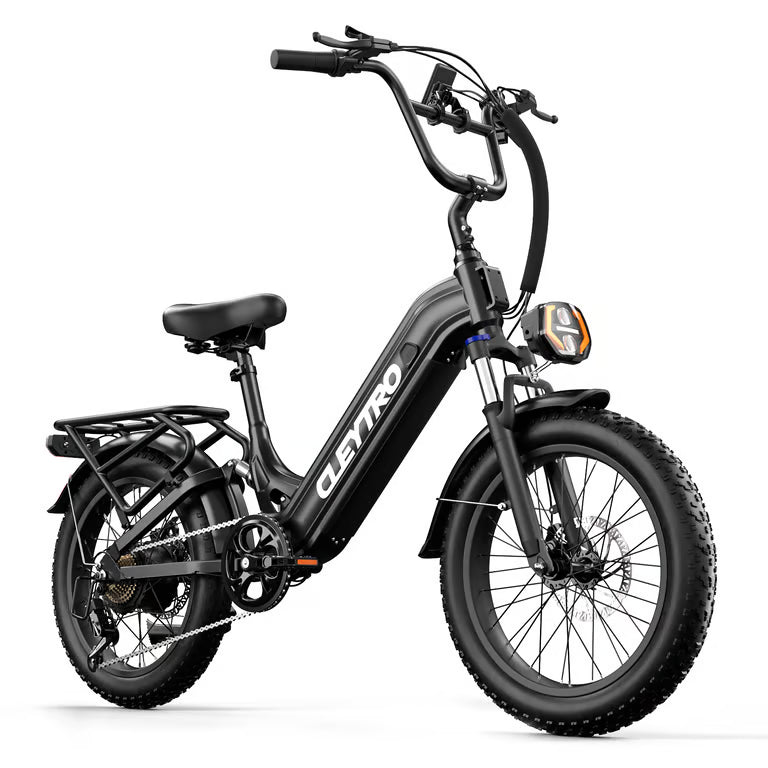 Cleytro Bici Elettrica Fat Bike XC20 250W/750W