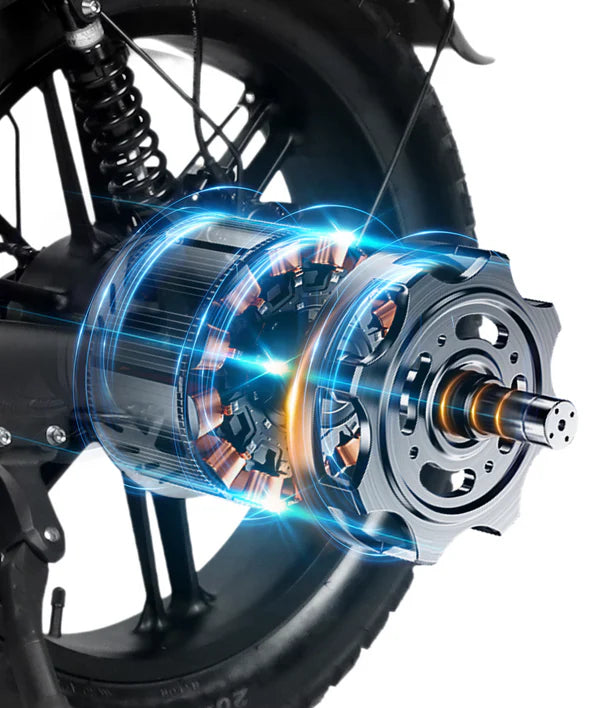 Victrip Bici Elettrica Fat Bike R5 PRO 250W/750W