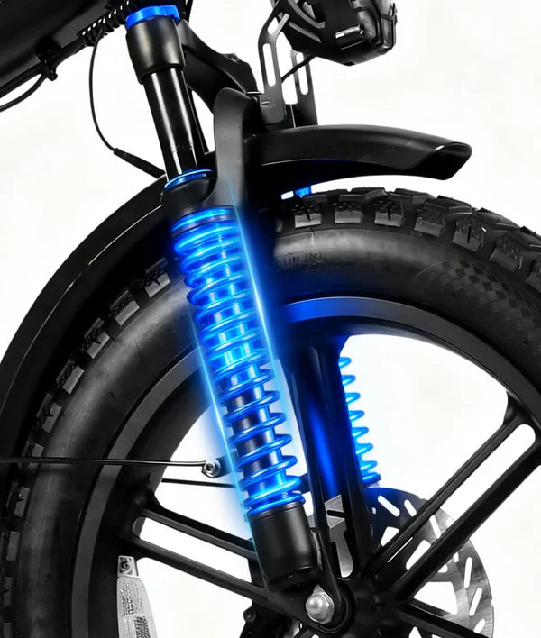 Victrip Bici Elettrica Fat Bike R5 PRO 250W/750W