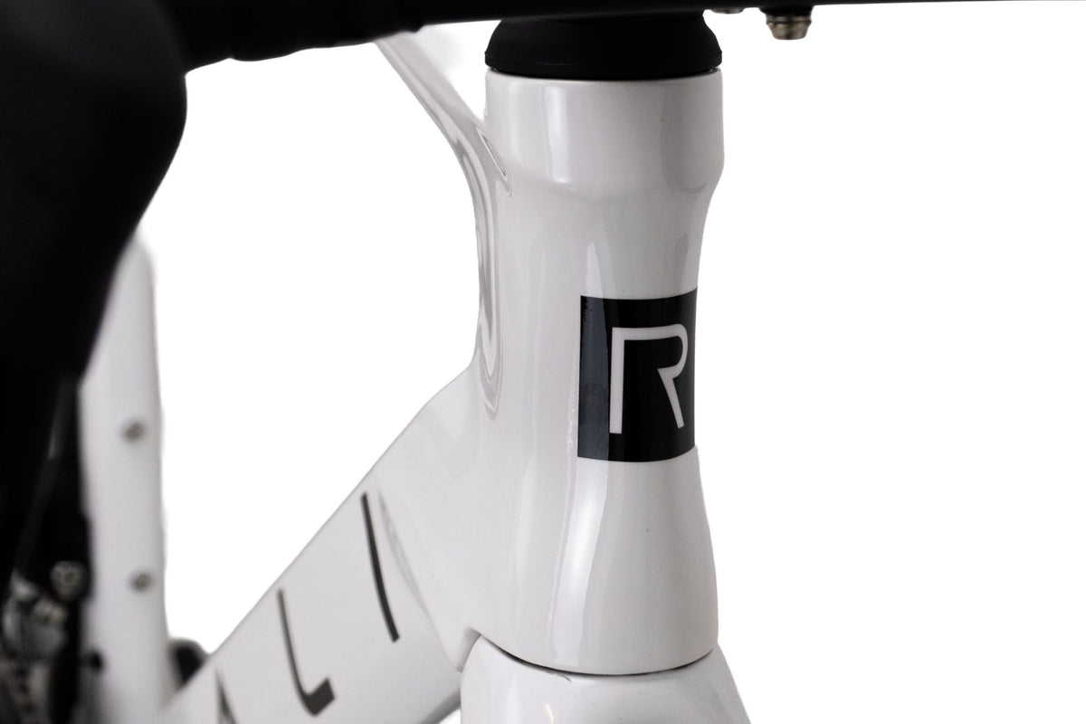 Rali Bici RDA - Shimano 105 Di 12V – Ruote EliteWheels Marvel