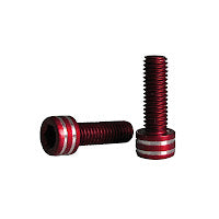 Xon Viti Portaborraccia M5x15mm (2 Pezzi)