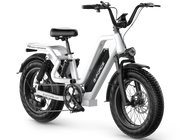 G-Force Bici Elettrica Fat Bike RS ST 250W/1200W 25 Ah