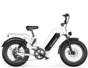 G-Force Bici Elettrica Fat Bike RS ST 25 Ah